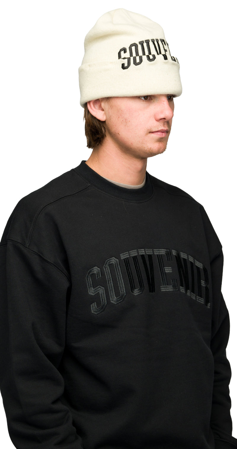 Collegiate Cuff Beanie - Bone